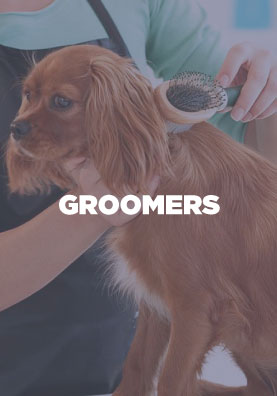 MyKittyPup Pet Grooming IMG