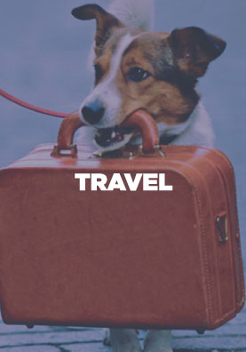 MyKittyPup Pet Friendly Accomadation